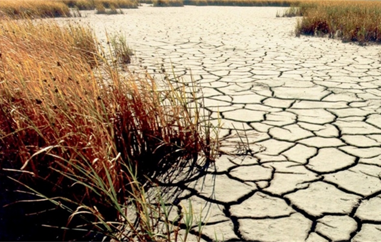 Drought scene - USGS